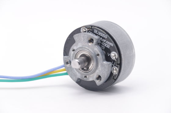DBL3825 12V 24V BLDC Motor High Torque Fascial Gun Mini DC Motor senza spazzole