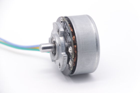 DBL3825 12V 24V BLDC Motor High Torque Fascial Gun Mini DC Motor senza spazzole