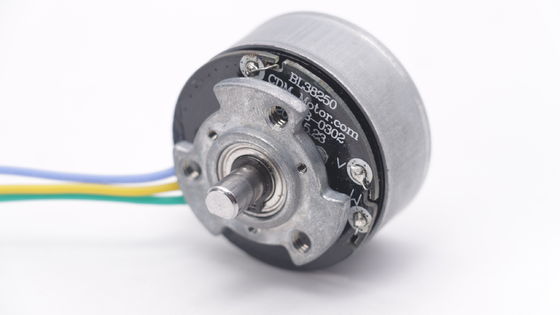 DBL3825 12V 24V BLDC Motor High Torque Fascial Gun Mini DC Motor senza spazzole