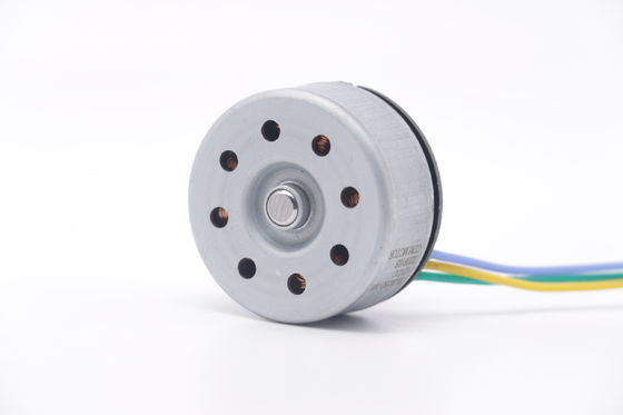 DBL3825 12V 24V BLDC Motor High Torque Fascial Gun Mini DC Motor senza spazzole