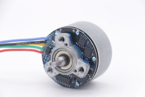 DBL3830O Motore 12v 3500rpm 38mm Outrunner Motore senza spazzole per Mini Massager Gun