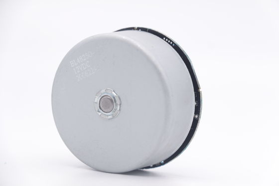 DBL4825 12V 48mm rotore esterno BLDC motore per fascia pistola Massaggiatore muscolare pistola