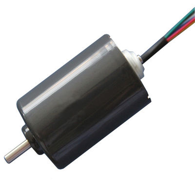 DBL4260 30W Motore DC senza spazzole ad alta coppia Pompa d'acqua 24 Volt Motore BLDC