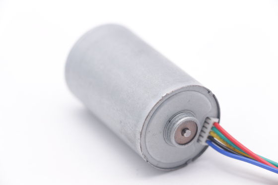 DBL2847I Motore elettrico a corrente continua senza spazzole 12V BLDC motore ad alta velocità per utensili elettrici