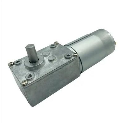 Motore ad alta coppia Micro DC Worm Gear Hollow Shaft Brush 12V DC Electric Gear Motor
