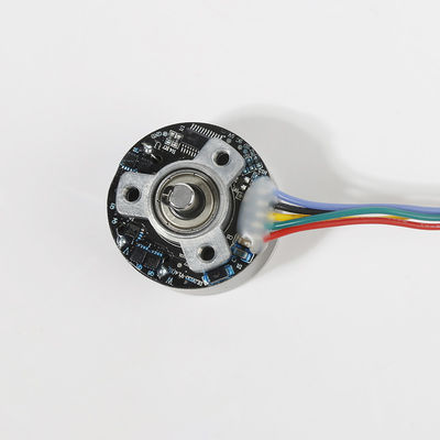 38mm basso rumore 12V senza spazzole motore a corrente continua ad alta coppia per pistola da massaggio