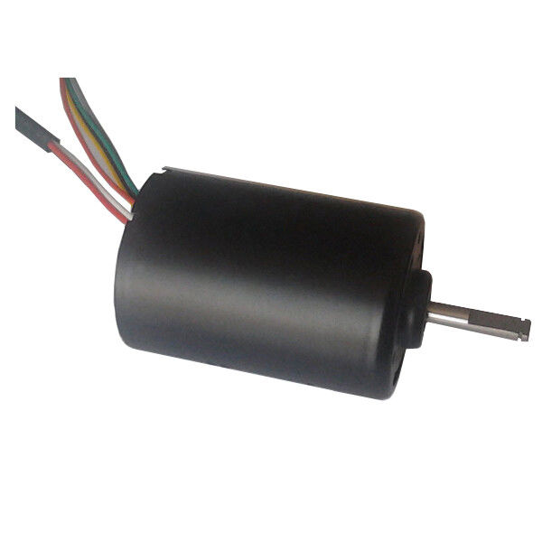 DBL4260 30W Motore DC senza spazzole ad alta coppia Pompa d'acqua 24 Volt Motore BLDC