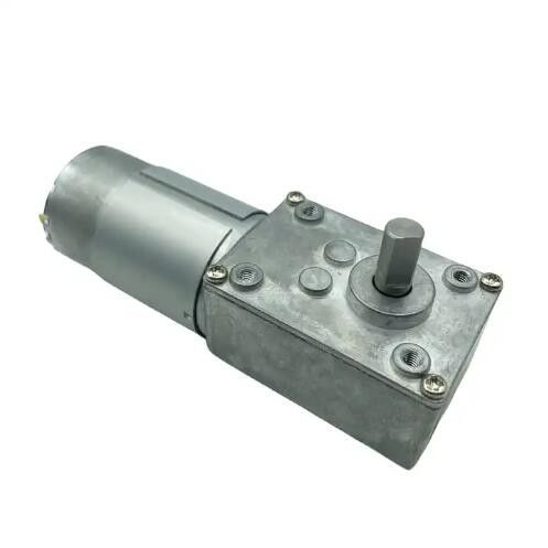 Motore ad alta coppia Micro DC Worm Gear Hollow Shaft Brush 12V DC Electric Gear Motor